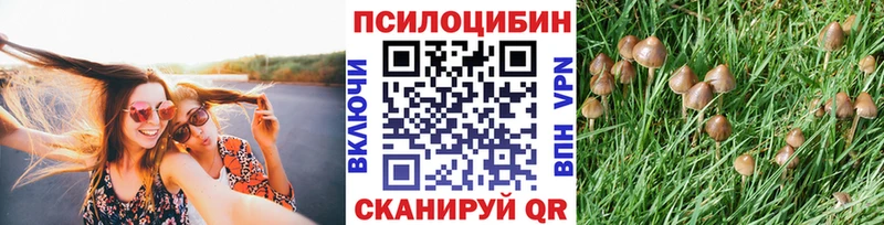 мориарти официальный сайт  Окуловка  Галлюциногенные грибы Magic Shrooms 